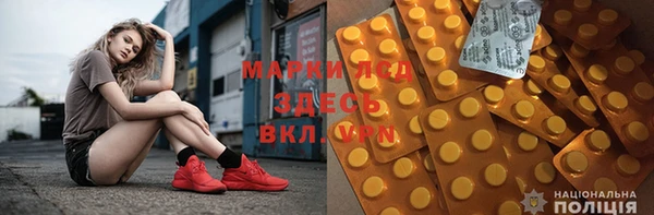 прущие грибы Верхний Тагил