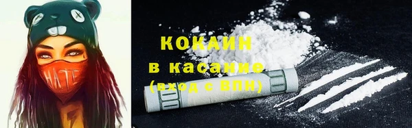 Альфа ПВП Верея