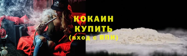 Альфа ПВП Верея