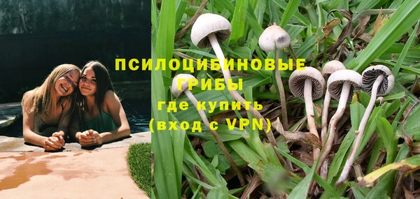 Альфа ПВП Верея