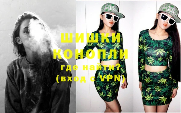 Альфа ПВП Верея