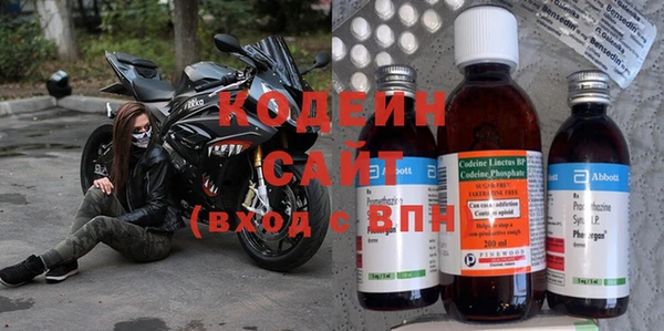 прущие грибы Верхний Тагил