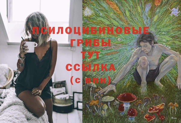 прущие грибы Верхний Тагил