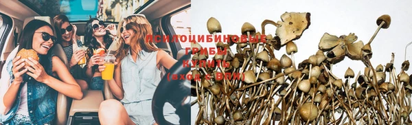 прущие грибы Верхний Тагил