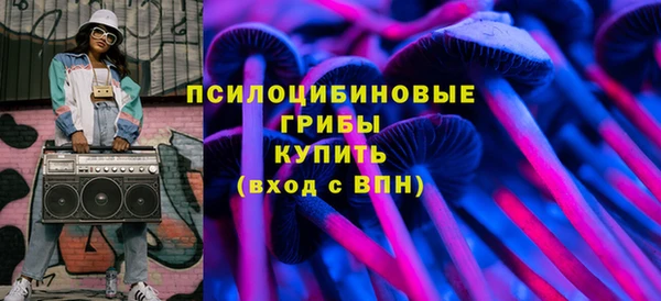 Альфа ПВП Верея