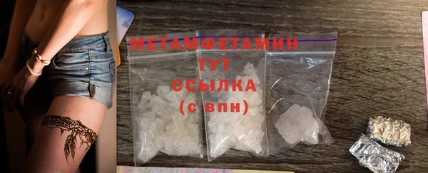прущие грибы Верхний Тагил