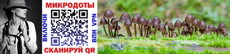 Галлюциногенные грибы Psilocybe  дарнет шоп  Прокопьевск 